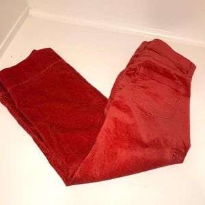 Loft velour wide leg pant